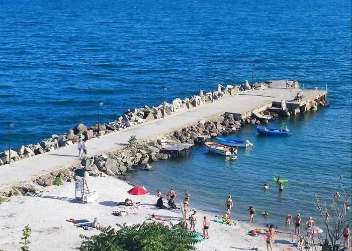 Magnolia 7 New For Your Vacation In Sunny Daire