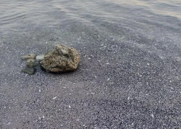 Daire Magnolia 7 New For Your Vacation In Sunny