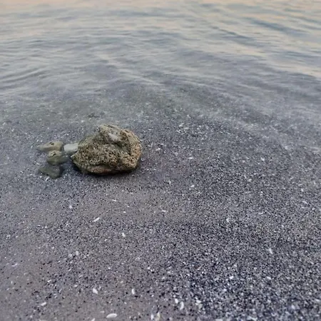 شقة Magnolia 7 New For Your Vacation In Sunny